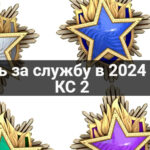 медаль за службу 2024 год